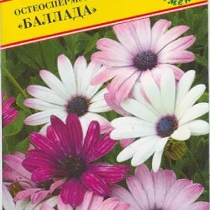 

Остеоспермум Баллада 5 шт, Семена Престиж