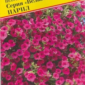 

Петуния Вельвет Парпл F1 ампельная 5 др, Семена Престиж