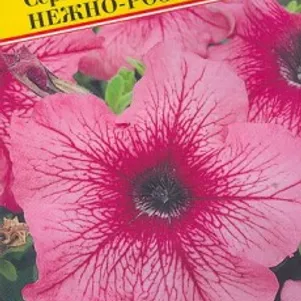 

Петуния Нежно-розовая F1 грандифлора (серия Дадди) 10 др, Семена Престиж