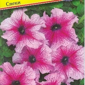 

Петуния Снени F1 грандифлора (серия Нана) 10 др, Семена Престиж
