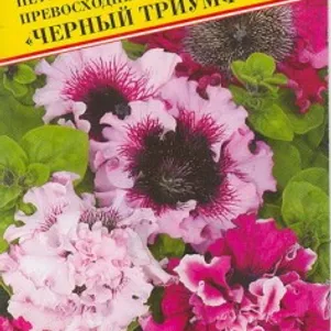 

Петуния Черный Триумф превосходнейшая 10 др, Семена Престиж