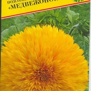 

Подсолнечник Медвежонок однолетний 10 шт, Семена Престиж