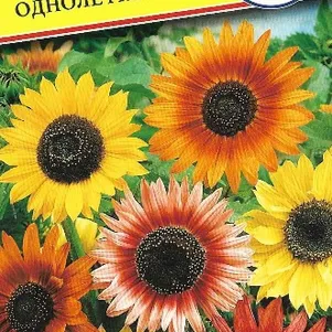 Подсолнечник Смесь однолетний 10 шт Семена Престиж 23₽