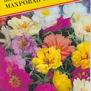 

Портулак Махровая смесь крупноцветковый 0,1 г, Семена Престиж