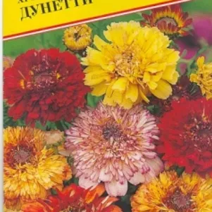 Хризантема Дунетти 05 г Семена Престиж 29₽