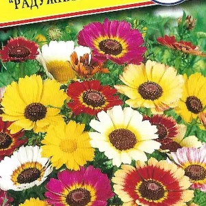 Хризантема Радужная Смесь 005 г Семена Престиж 13₽