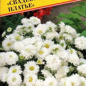 Хризантема Свадебное платье 10 шт Семена Престиж 26₽