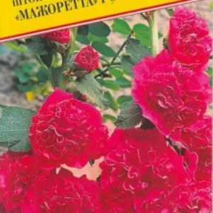 

Шток-роза Мажоретта Розовая 0,2 г, Семена Престиж