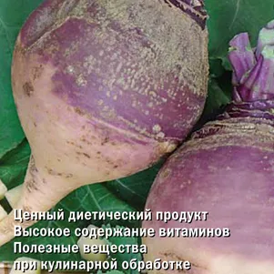 

Брюква Гера 0,5 г, Семена Поиск