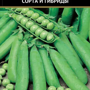 

Горох Иловецкий овощной 10 г, Семена Поиск