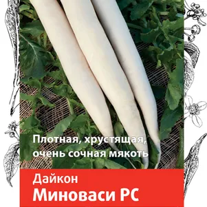 Дайкон Редька китайская Миноваси РС 1 г Семена Поиск 31₽