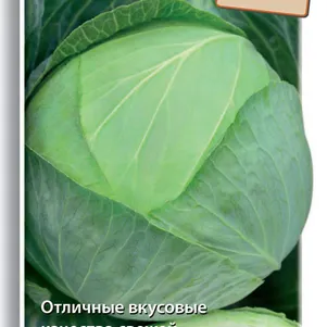 

Капуста Слава 1305 белокочанная 0,5 г, Семена Поиск