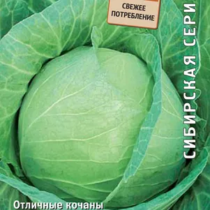 

Капуста Точка белокочанная 0,5 г, Семена Поиск