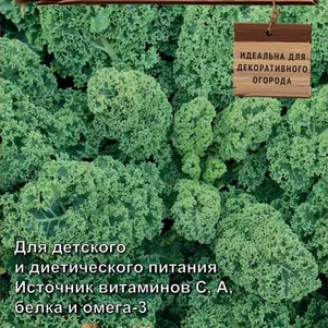 

Листовая капуста Зеленое кружево 0,1 г, Семена Поиск