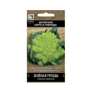 

Цветная капуста Зеленая гроздь 0,1 г, Семена Поиск