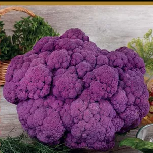 

Цветная капуста Мечта огородника 0,1 г, Семена Поиск