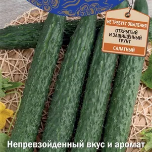 

Огурец Восточный экспресс F1 5 шт, Семена Поиск