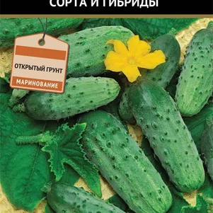 

Огурец Д`Артаньян F1 12 шт, Семена Поиск