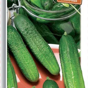 

Огурец Изящный 15 шт, Семена Поиск