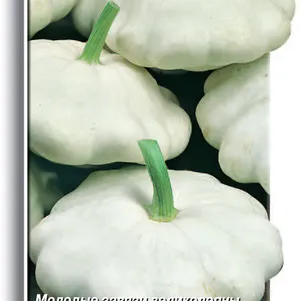 Патиссон Белые 13 12 шт Семена Поиск 49₽