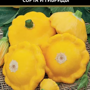 Патиссон НЛО Оранжевый 12 шт Семена Поиск 60₽