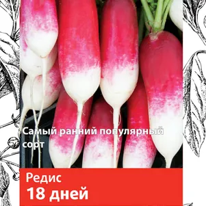 

Редис 18 дней 3 г, Семена Поиск
