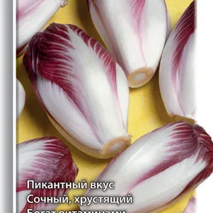 

Салат цикорный Диетический ц/п 0,2 г, Семена Поиск