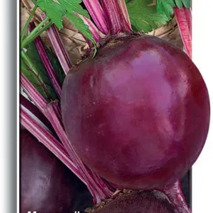 

Свекла столовая Несравненная А-463 3 г, Семена Поиск