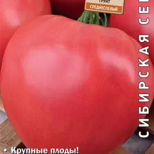 

Томат Абаканский розовый 0,1 г, Семена Поиск