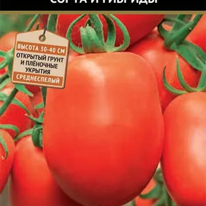 

Томат Аделина (сер. Авторские сорта) 0,1 г, Семена Поиск