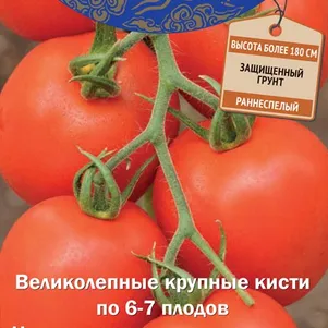 

Томат Алый фрегат F1 (сер. Восточный деликатес) 10 шт, Семена Поиск