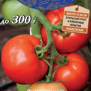 

Томат Ловкий F1 (А) 10, Семена Поиск