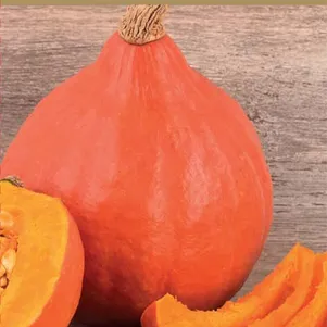 

Тыква Красная малышка крупноплодная (сер. Авторские сорта) 10 шт, Семена Поиск