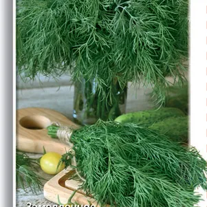 Укроп Супердукат ОЕ цп 3 г Семена Поиск 49₽