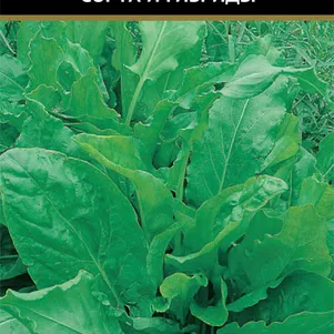 Щавель Малахит сер Авторские сорта 05 г Семена Поиск 49₽