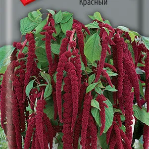

Амарант Красный 0,1, Поиск
