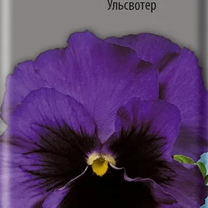 

Анютины глазки Ульсвотер 0,2 г, Семена Поиск