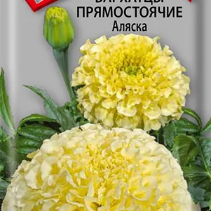 

Бархатцы Аляска прямостоячие 0,4 г, Семена Поиск