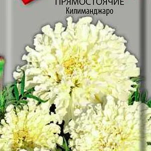 

Бархатцы Килиманджаро прямостоячие 0,1 г, Семена Поиск