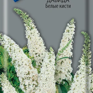 

Буддлея Давида Белые кисти 0,01 г, Семена Поиск