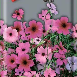 

Вискария Нимфа 0,1 г, Семена Поиск