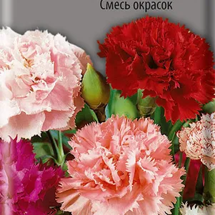 

Гвоздика садовая Шабо Смесь окрасок 0,3 г, Семена Поиск