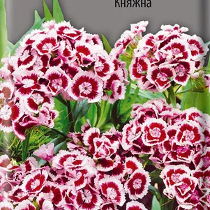 

Гвоздика Турецкая Княжна 0,3 г, Семена Поиск