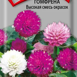 

Гомфрена Высокая смесь окрасок 0,1 г, Семена Поиск