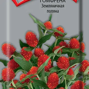 

Гомфрена Земляничная поляна 0,1 г, Семена Поиск