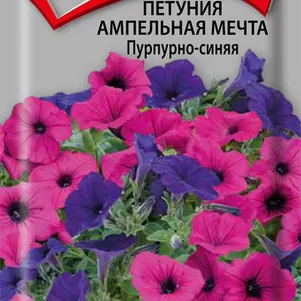 

Петуния Мечта Пурпурно-синяя ампельная 5, Семена Поиск
