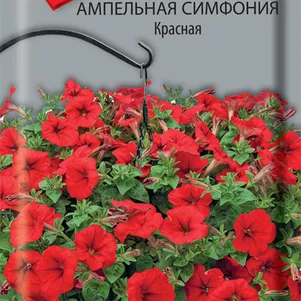 

Петуния Симфония Красная ампельная 0,01 г, Семена Поиск
