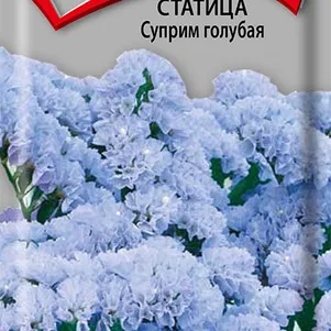 

Статица Суприм голубая 0,15 г, Семена Поиск