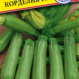 Кабачок Корделия F1 5 шт Семена Престиж 124₽