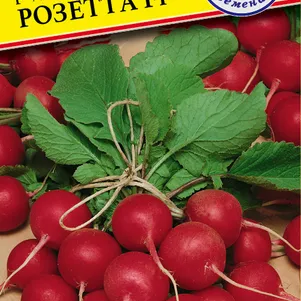 

Редис Розетта F1 1 г, Семена Престиж